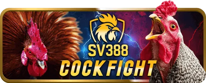 Bàn chơi Sic Bo trực tuyến tại k8bet chính thức